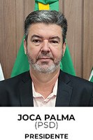Presidente: Ver. Joca Palma