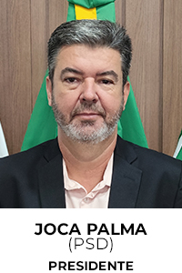 Presidente: Ver. Joca Palma