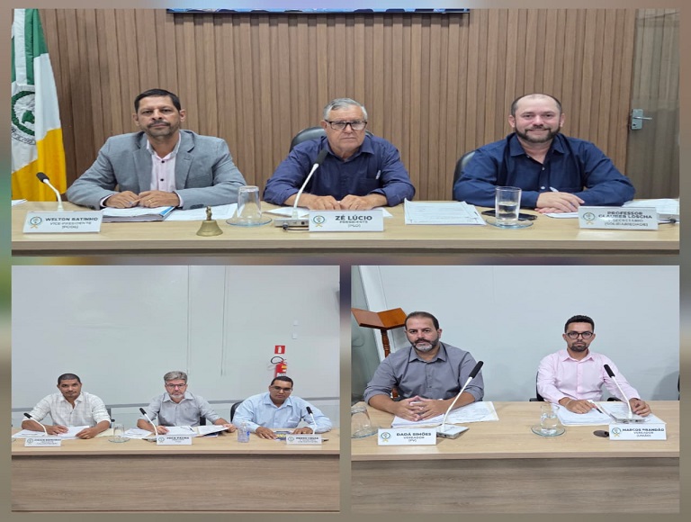 15ª Reunião Ordinária da Câmara Municipal de Bonfinópolis de Minas/MG, da 1ª Sessão Legislativa da 16ª Legislatura.