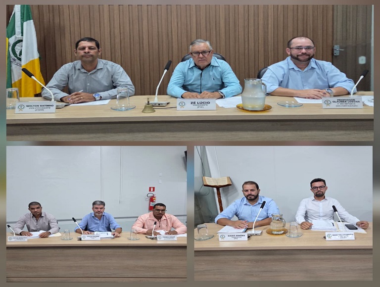 17ª Reunião Ordinária da Câmara Municipal de Bonfinópolis de Minas/MG, da 1ª Sessão Legislativa da 16ª Legislatura.