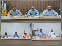 17ª Reunião Ordinária da Câmara Municipal de Bonfinópolis de Minas/MG, da 1ª Sessão Legislativa da 16ª Legislatura.