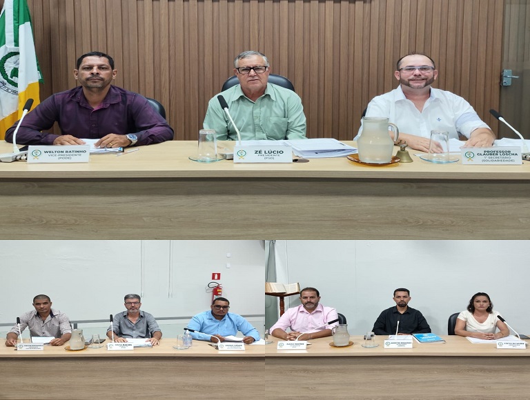 7ª Reunião Ordinária da Câmara Municipal de Bonfinópolis de Minas/MG, da 1ª Sessão Legislativa da 16ª Legislatura.