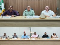 7ª Reunião Ordinária da Câmara Municipal de Bonfinópolis de Minas/MG, da 1ª Sessão Legislativa da 16ª Legislatura.