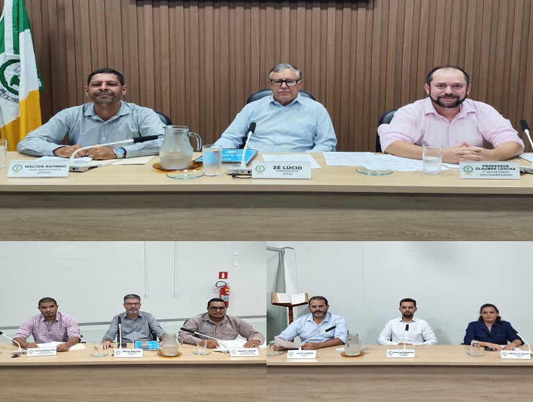 9ª Reunião Ordinária da Câmara Municipal de Bonfinópolis de Minas/MG, da 1ª Sessão Legislativa da 16ª Legislatura.