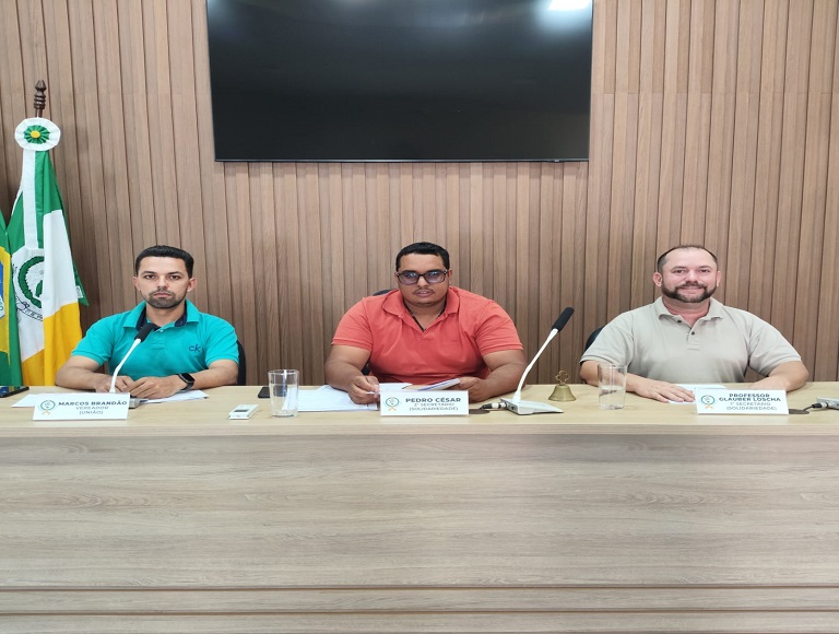 Reunião da Comissão de Gestão Pública (CGP).