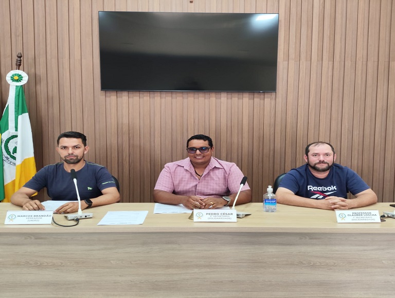 Reunião da Comissão de Gestão Pública (CGP).