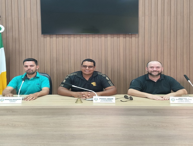 Reunião da Comissão de Gestão Pública (CGP).