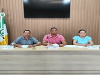 Reunião da Comissão de Legislação, de Justiça e de Redação (CLJR).