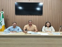 Reunião da Comissão de Legislação, de Justiça e de Redação (CLJR).